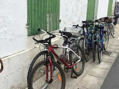Ile de Ré, France:  Bicycles and Hollyhocks