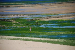 Ile de Re and Bicycles, Beaches, Bastions & Baguettes